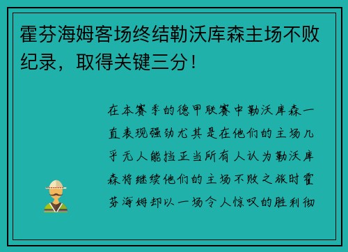 霍芬海姆客场终结勒沃库森主场不败纪录，取得关键三分！