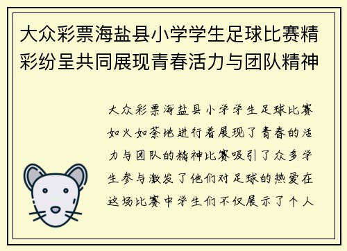 大众彩票海盐县小学学生足球比赛精彩纷呈共同展现青春活力与团队精神